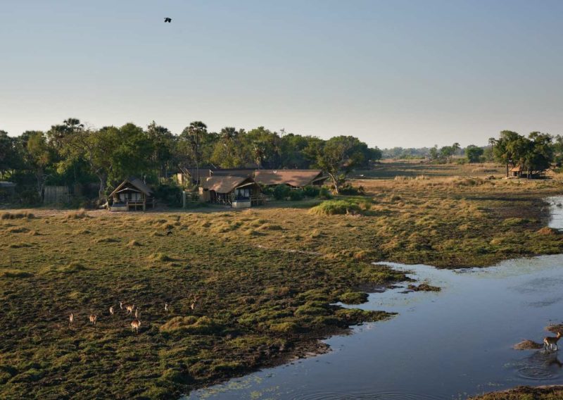 delta del okavango, botswana
